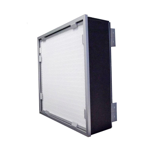 Replaceable HEPA filter with hood
